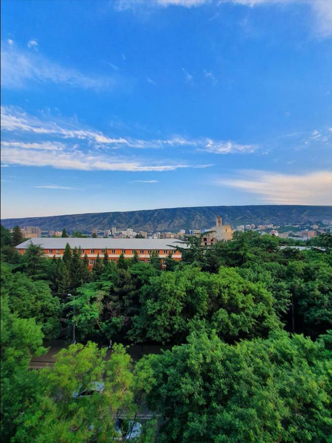 5 Rooms Near 300 Aragveli Metro Station 트빌리시 외부 사진